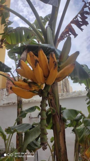 Precioso Apartamento Con A/A En Ruzafa Con Terracita Privada Y Acceso A Un Jardin, Para 2-3 Personas Valencia Exterior foto